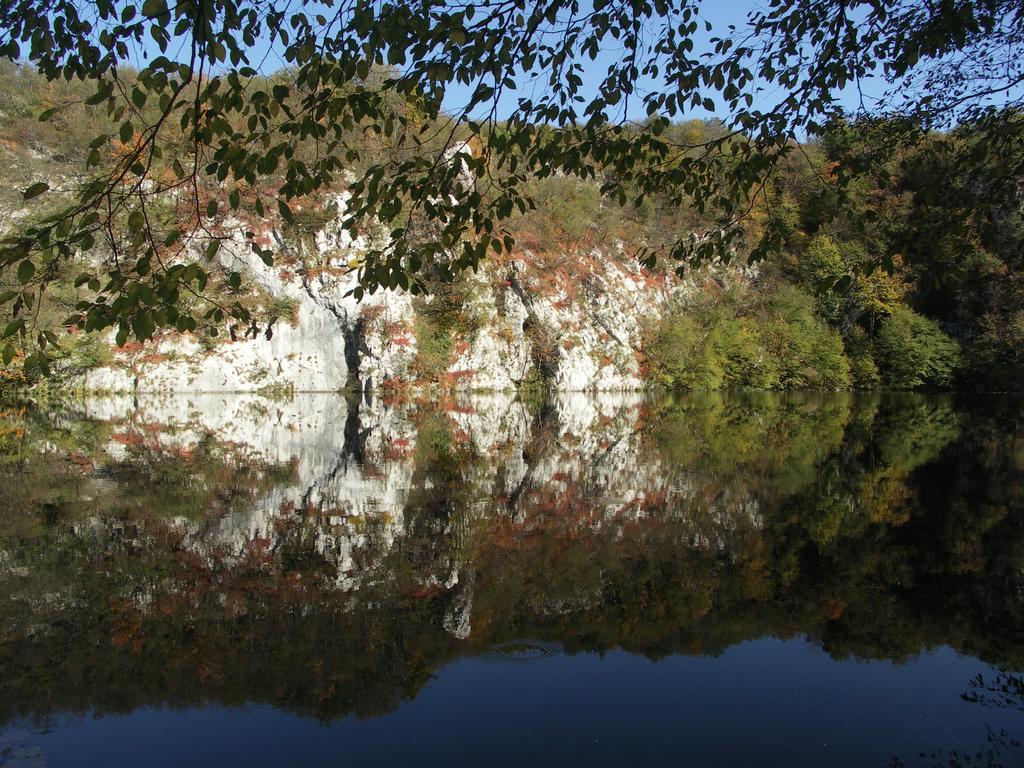 B&B Plitvice Lakes Villa Irene Seliste Dreznicko Luaran gambar