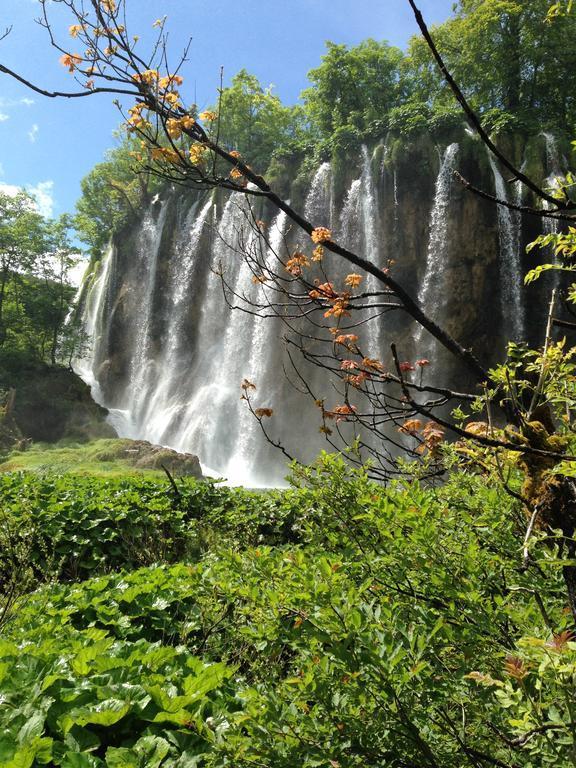 B&B Plitvice Lakes Villa Irene Seliste Dreznicko Luaran gambar